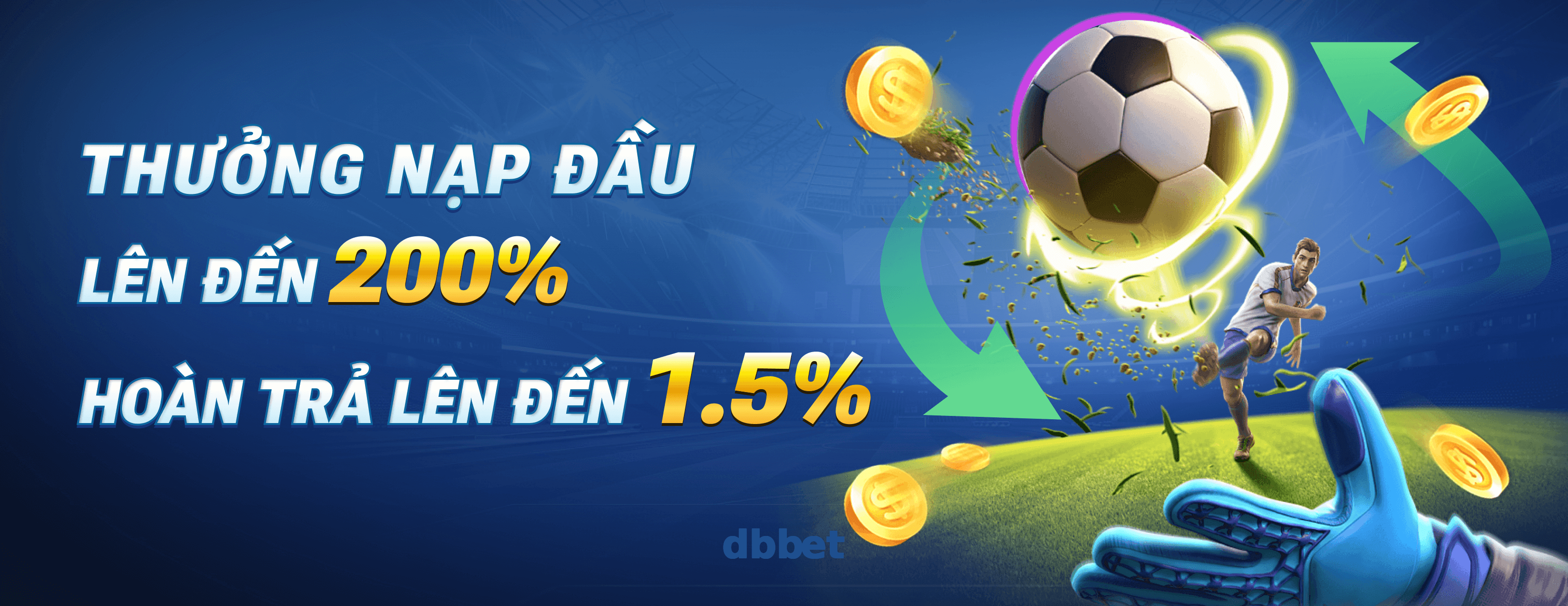 dbbet